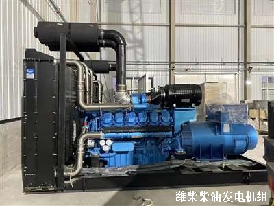濰柴柴油發電機組 供貨